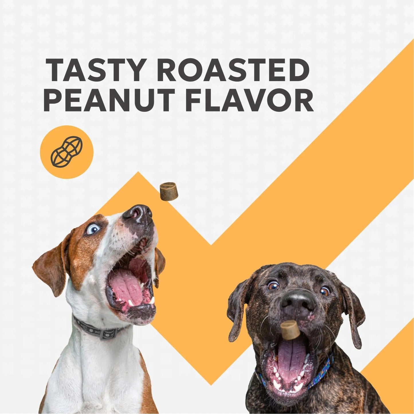 Nutramax Filaquin Anal Gland Supplement for Dogs, from The Same Company as Cosequin & Proviable, with Pre & Postbiotics and Psyllium Husk Fiber to Support Anal Gland Health, 90 Count Soft Chews - Maple Wellness Supplements