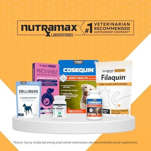 Nutramax Filaquin Anal Gland Supplement for Dogs, from The Same Company as Cosequin & Proviable, with Pre & Postbiotics and Psyllium Husk Fiber to Support Anal Gland Health, 90 Count Soft Chews - Maple Wellness Supplements