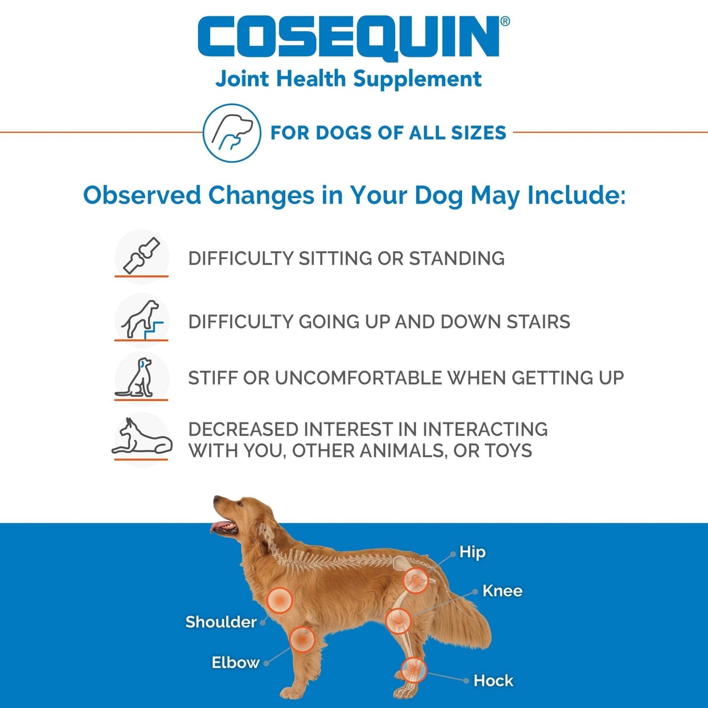 Nutramax Laboratories Cosequin Maximum Strength Joint Health Supplement for Dogs - Maple Wellness Supplements
