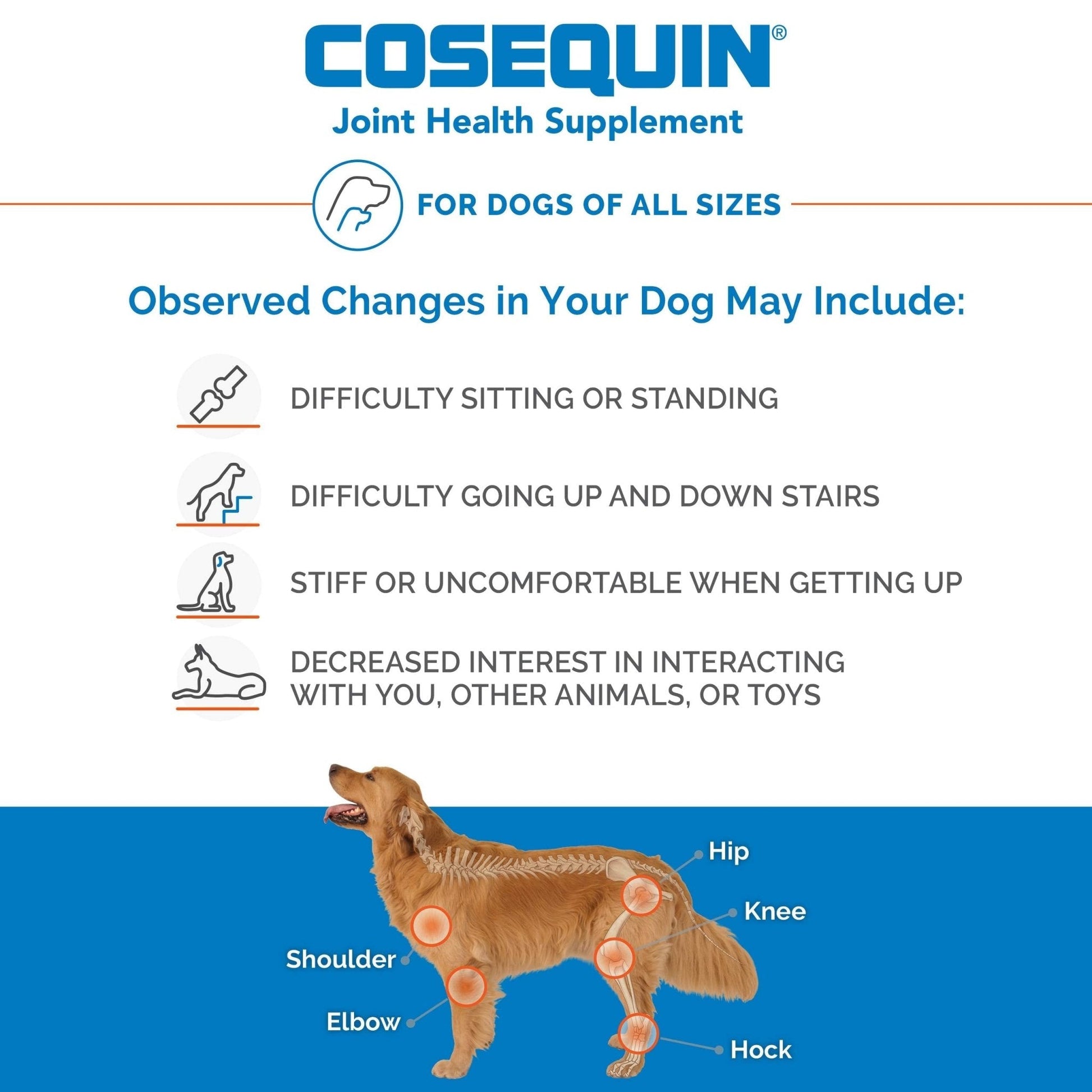 Nutramax Laboratories Cosequin Maximum Strength Joint Health Supplement for Dogs - Maple Wellness Supplements