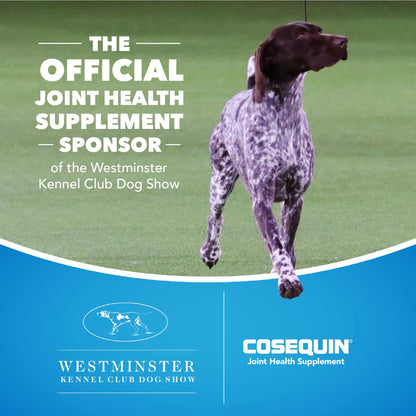 Nutramax Laboratories Cosequin Maximum Strength Joint Health Supplement for Dogs - Maple Wellness Supplements