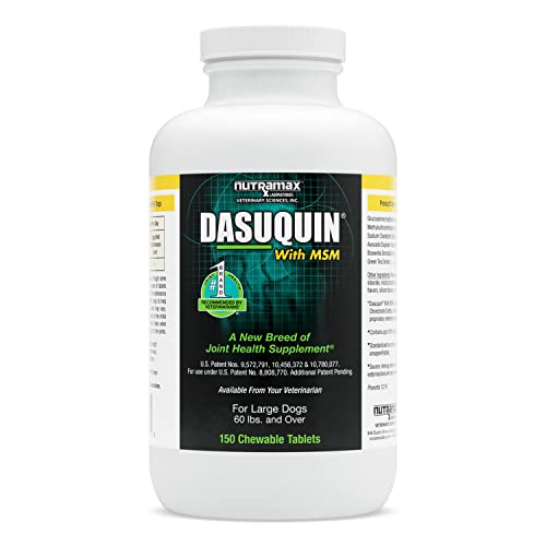 Nutramax Laboratories Dasuquin with MSM Joint Health Supplement for Large Dogs - Maple Wellness Supplements