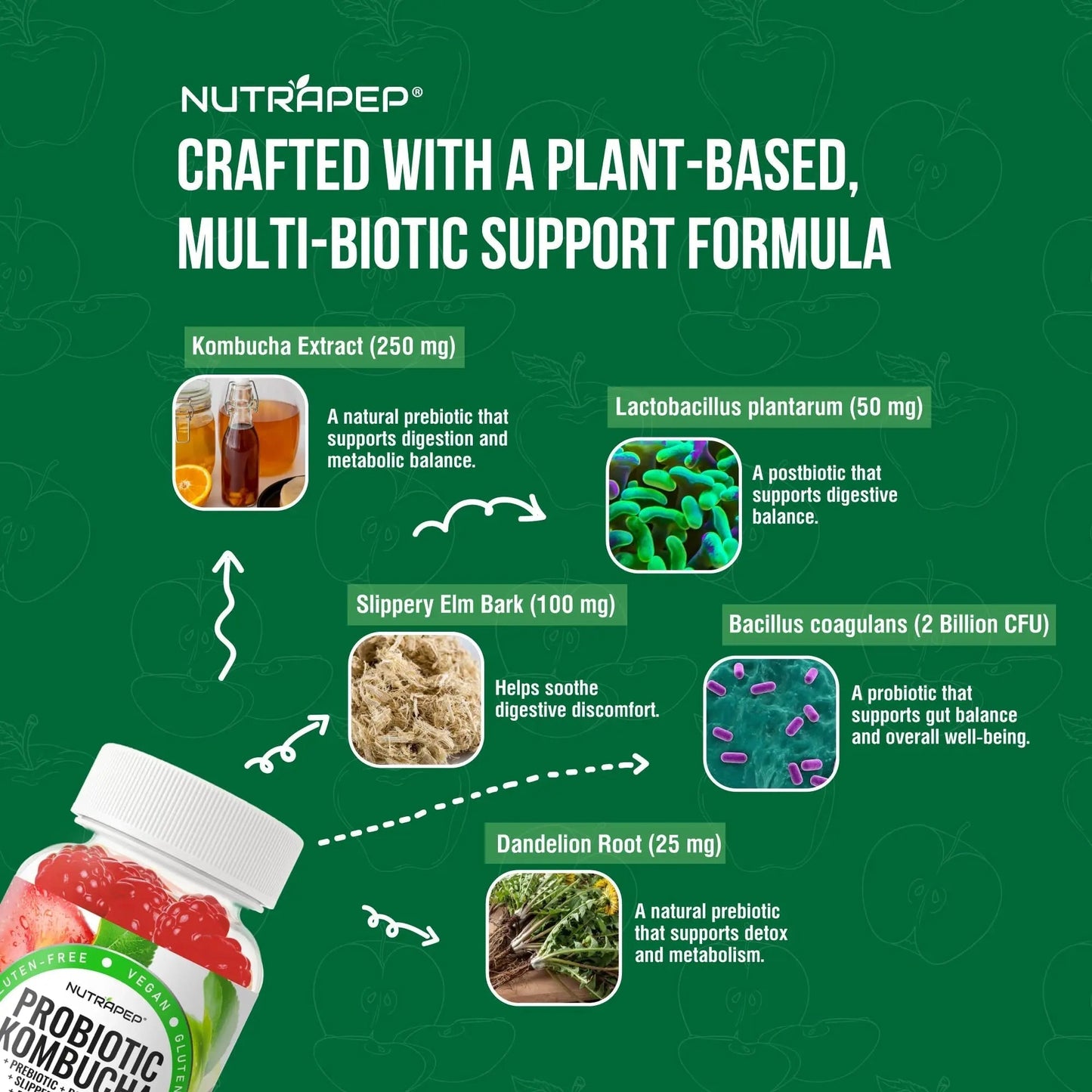 NutraPep Probiotic Kombucha Gummies - Women Men Probiotic Prebiotic Probiotic Blend for Gut Health Bloating Metabolism Support with Slippery Elm Bark Dandelion Root - Vegan Gluten Free Apple Flavor - Maple Wellness Supplements