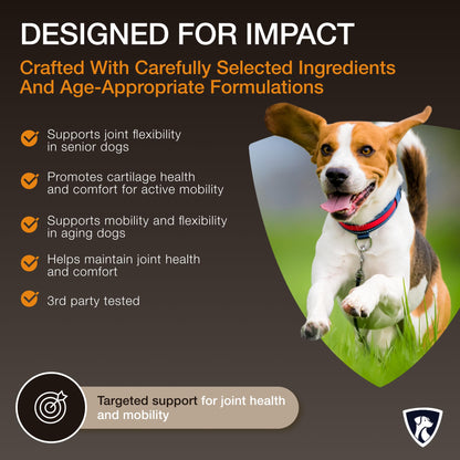 NutraRegen Select Senior Dog Joint Supplement 45 Scoops | Natural Glucosamine Chondroitin for Dogs with Collagen | Hip and Joint Powder | 7.7 Oz - Maple Wellness Supplements