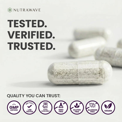 Nutrawave 50 Billion Probiotics for Women & Men, 15 Strains Active Culture. Relieves Bloating & Constipation, Improved Digestion & Gut Health Supplement, Vegan. 60 Powerful Small Capsules. - Maple Wellness Supplements