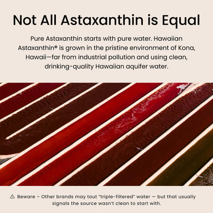 Nutrex Hawaii BioAstin Hawaiian Astaxanthin - 4mg, 60 Softgels - Farm-Direct Premium Antioxidant Supplement to Support Eye, Skin, Joint & Immune System Health - Non-GMO & Gluten-Free - Maple Wellness Supplements