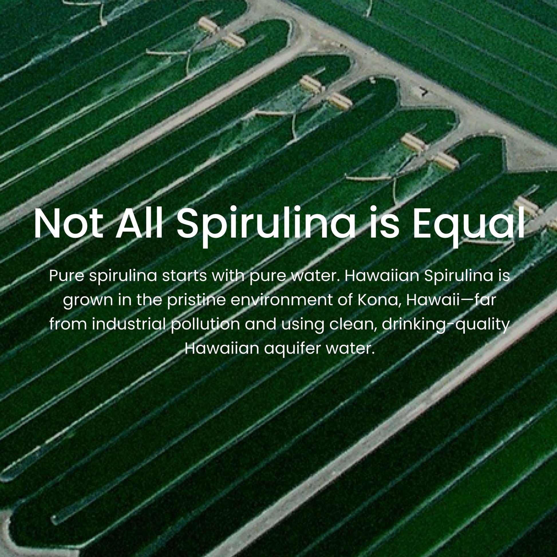 Nutrex Hawaii Pure Hawaiian Spirulina – Vegan Superfood, 500 mg Tablets, Farm Grown in Kona, Non-GMO - Maple Wellness Supplements