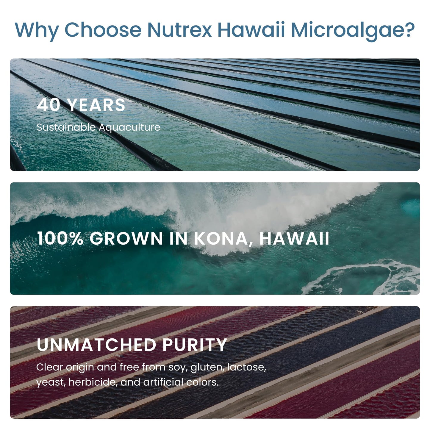 Nutrex Hawaii Pure Hawaiian Spirulina – Vegan Superfood, 500 mg Tablets, Farm Grown in Kona, Non-GMO - Maple Wellness Supplements