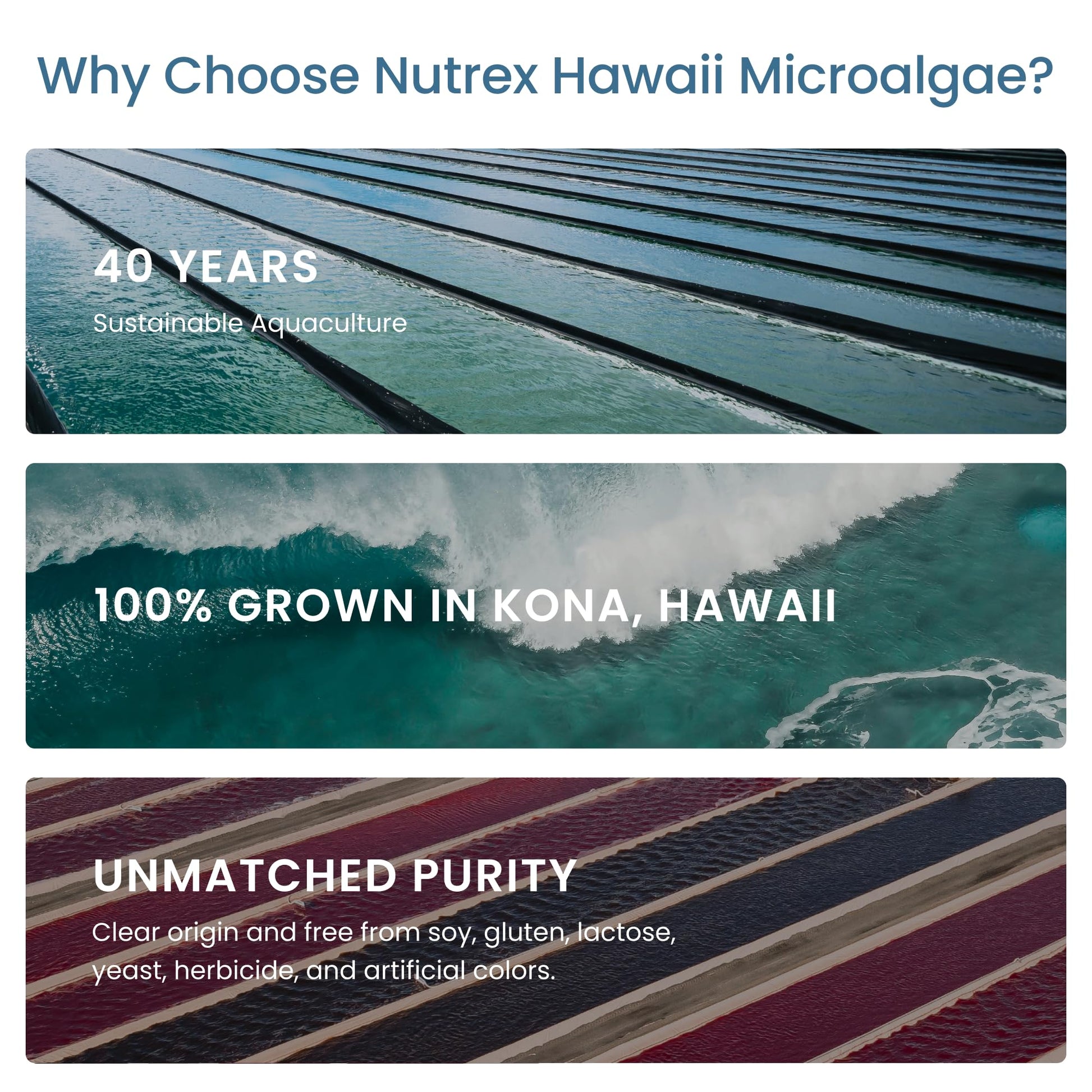 Nutrex Hawaii Pure Hawaiian Spirulina – Vegan Superfood, 500 mg Tablets, Farm Grown in Kona, Non-GMO - Maple Wellness Supplements