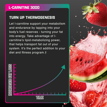 Nutrex Research Liquid Carnitine 3000 | (Strawberry Watermelon) | Premium L Carnitine Liquid, Stimulant Free 31 Servings - Maple Wellness Supplements
