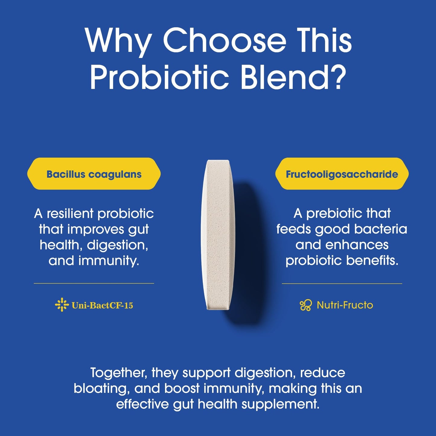 Nutrition Essentials Probiotics for Women and Men - with Lactase Enzyme and Prebiotic Fiber for Digestive Health - 80 Percent + More Potent Supplement - Maple Wellness Supplements