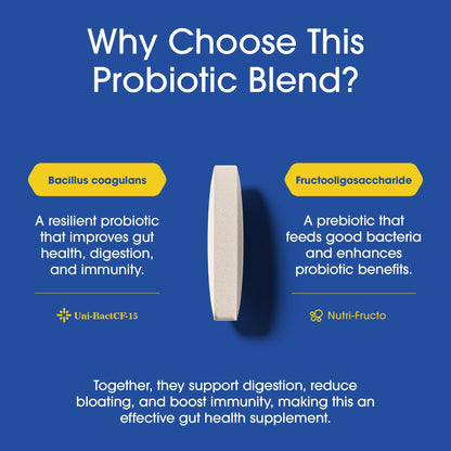 Nutrition Essentials Probiotics for Women and Men - with Lactase Enzyme and Prebiotic Fiber for Digestive Health - 80 Percent + More Potent Supplement - Maple Wellness Supplements