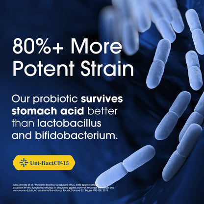 Nutrition Essentials Probiotics for Women and Men - with Lactase Enzyme and Prebiotic Fiber for Digestive Health - 80 Percent + More Potent Supplement - Maple Wellness Supplements