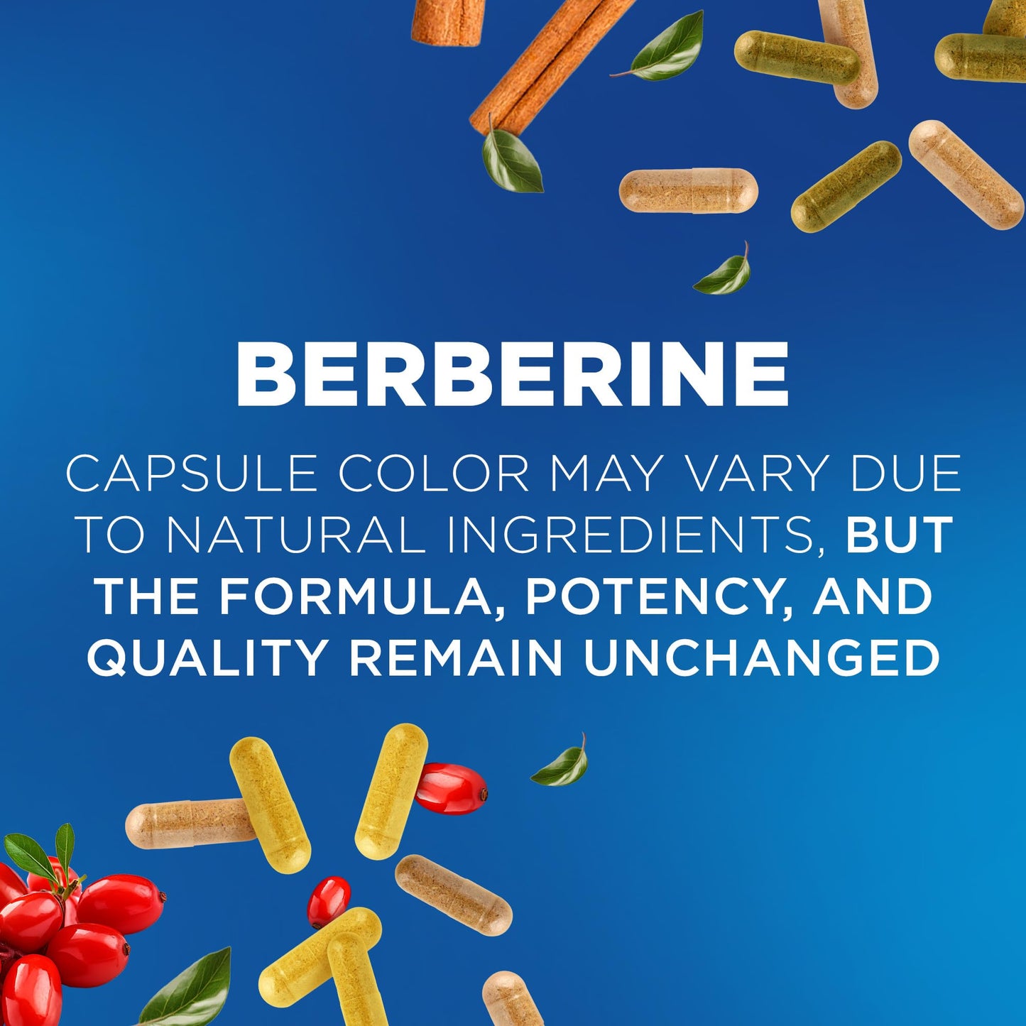 Nutrivein Premium Berberine 1200 mg with Ceylon Cinnamon - 120 Capsules: High-Absorption Berberine Supplement - Maple Wellness Supplements