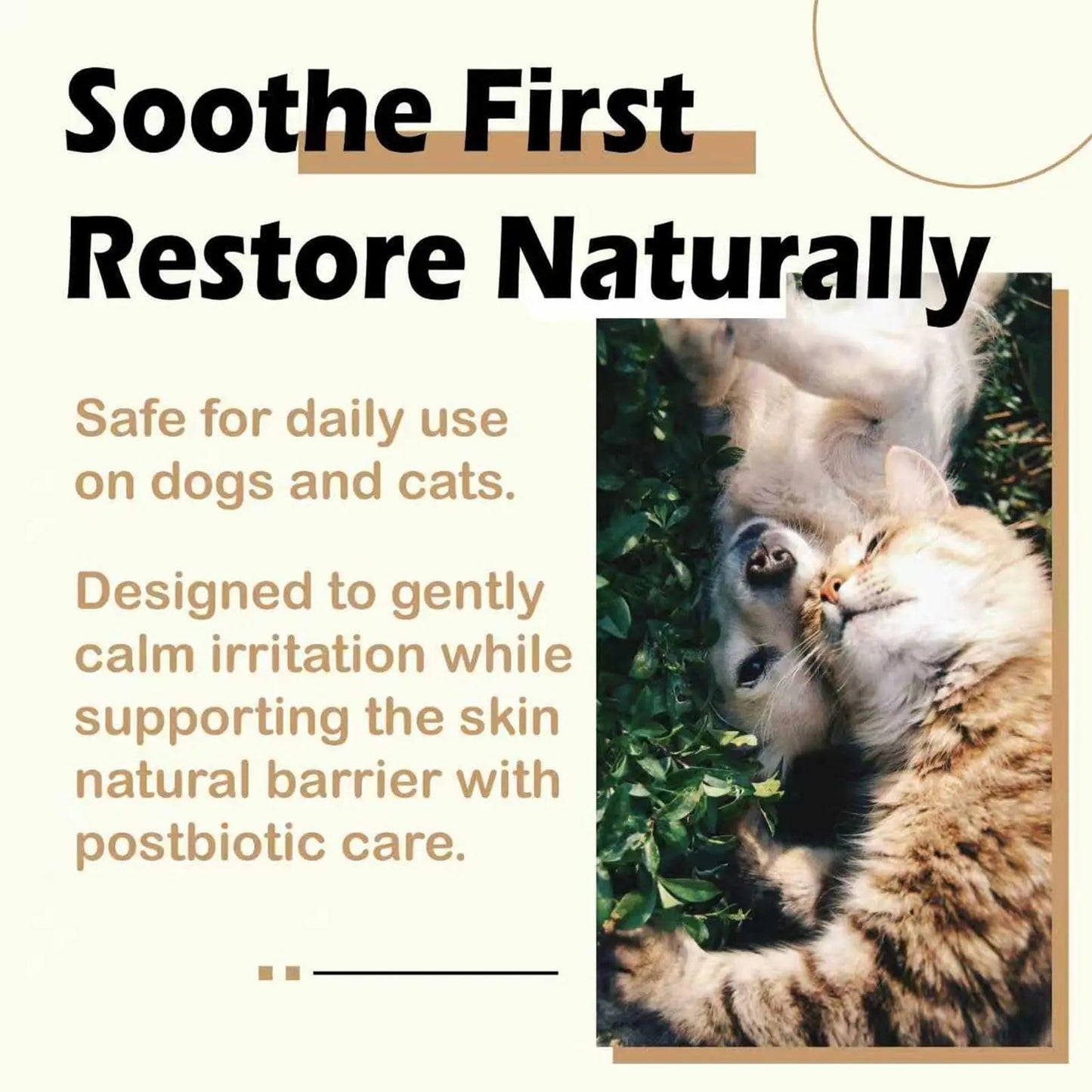 NUVON Pet Skin Soothing Spray, Postbiotics Restoration Spray for Dogs & Cats, Reduce Irritation, Rebuild Skin Barrier - 3.38 fl oz - Maple Wellness Supplements