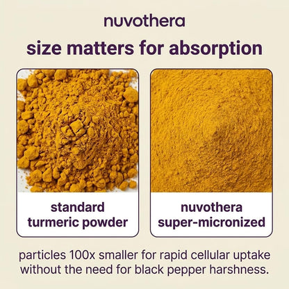 Nuvothera Super-Micronized Turmeric Curcumin Capsules Rapid Absorption, Whole Root, Non-GMO, Skin, Gut Health & Antioxidants (1 Month Pack (60 Capsules)) - Maple Wellness Supplements