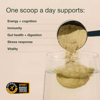 Nuzest Greens Powder Good Green Vitality – Vitamins, Minerals & Superfoods – Vegan Multivitamin Supplement (300g) - Maple Wellness Supplements
