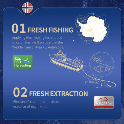 NYO3 Antarctic Krill Oil 1000mg Omega 3 Supplement, EPA & DHA, 90 Softgels Astaxanthin - Maple Wellness Supplements