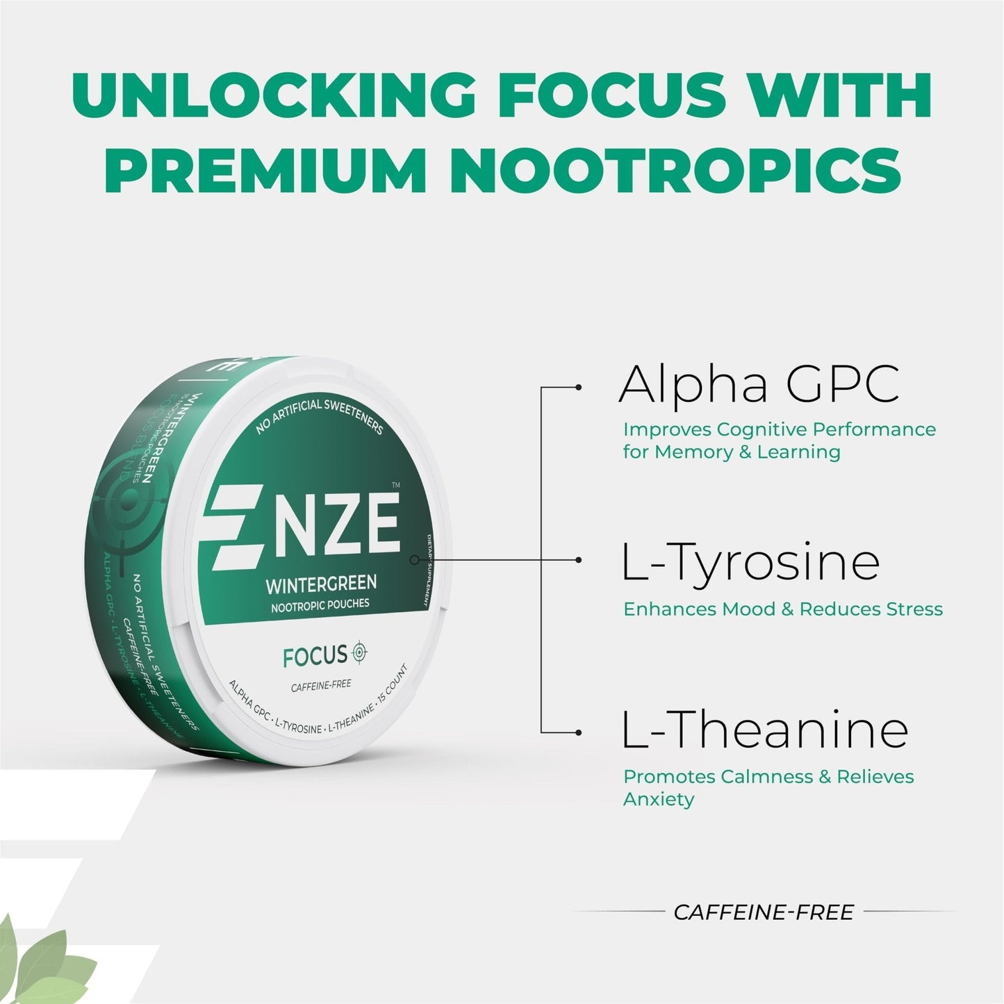 NZE Caffeine Free Nootropic Pouches (Wintergreen) - Nootropic Pouches with Alpha GPC, L-Tyrosine & L-Theanine - No Sugar or Artificial Sweeteners - 15 Pouches Per Can - 5 Pack - Maple Wellness Supplements