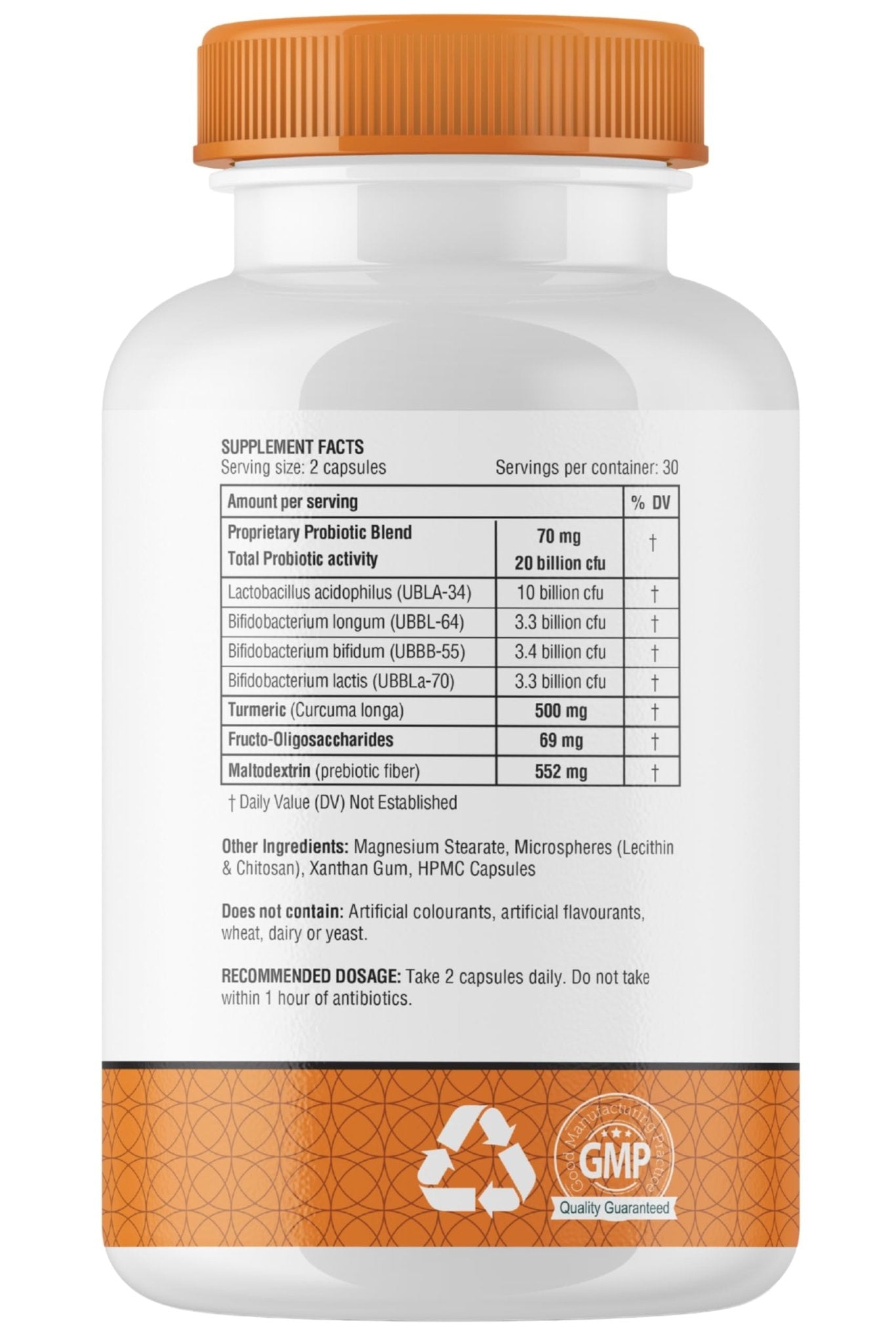obel Probiotic & Prebiotic Supplement with Turmeric | 20 Billion CFU | 60 Capsules (30 Day Supply) | 4 Strains | Supports Digestion - Maple Wellness Supplements