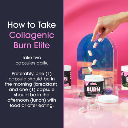 Obvi Burn Elite - Collagen Supplement for Women - Fitness Support - Metabolism Support Supplement - Healthy Mobility - Natural Thermogenic Formula - Maple Wellness Supplements