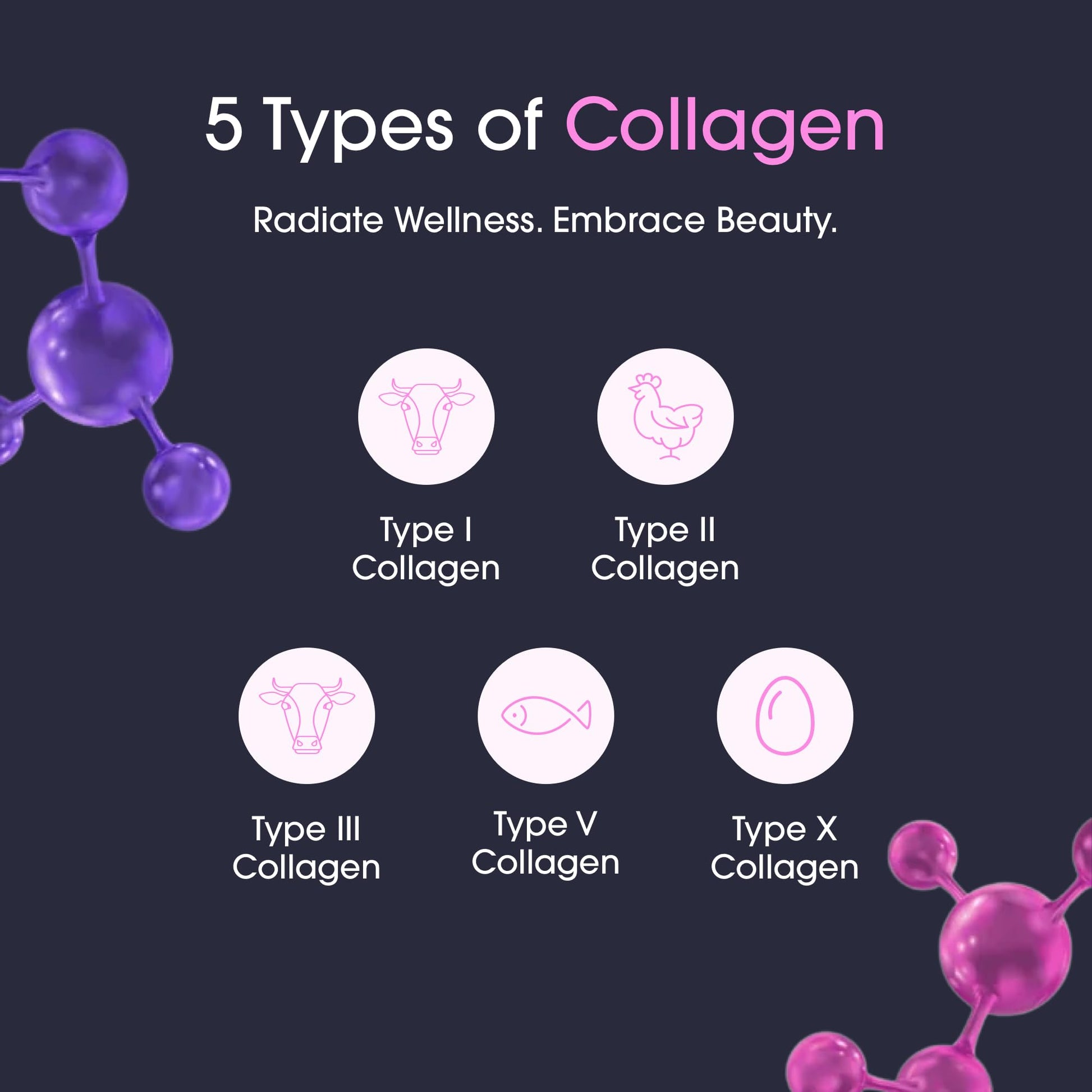 Obvi Burn Elite - Collagen Supplement for Women - Fitness Support - Metabolism Support Supplement - Healthy Mobility - Natural Thermogenic Formula - Maple Wellness Supplements