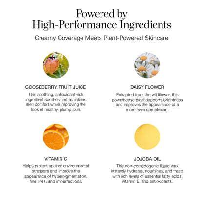 Ogee Complexion Perfecting Liquid Foundation - Lightweight Tinted Moisturizer For Face (Spruce 12.75N - Deep, Bronze Undertones) - with Vitamin C & Jojoba Oil - Certified Organic & Made in USA - Maple Wellness Supplements