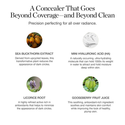Ogee Complexion Perfecting Under Eye Concealer - Certified Organic Full Coverage Concealer - Buildable Coverage - OSIER 1.75W - Light Medium (Olive Undertones) - Maple Wellness Supplements