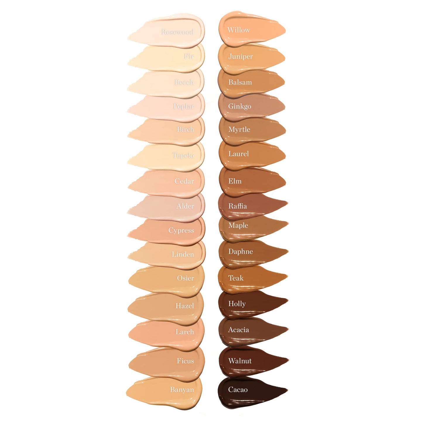 Ogee Complexion Perfecting Under Eye Concealer - Certified Organic Full Coverage Concealer - Buildable Coverage - OSIER 1.75W - Light Medium (Olive Undertones) - Maple Wellness Supplements