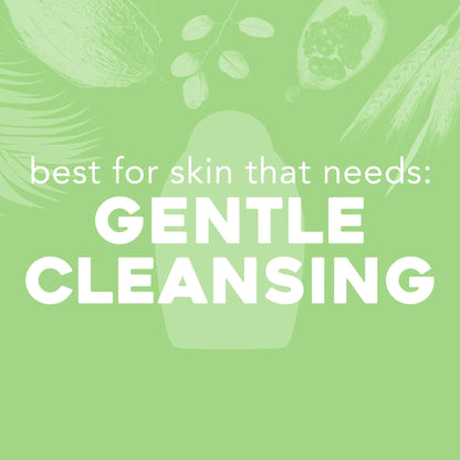 OGX Sensitive + Rose Water & Pink Sea Salt Exfoliating Body Scrub + Rose Quartz, Gentle Exfoliating Daily Body Wash Softens Skin - Maple Wellness Supplements