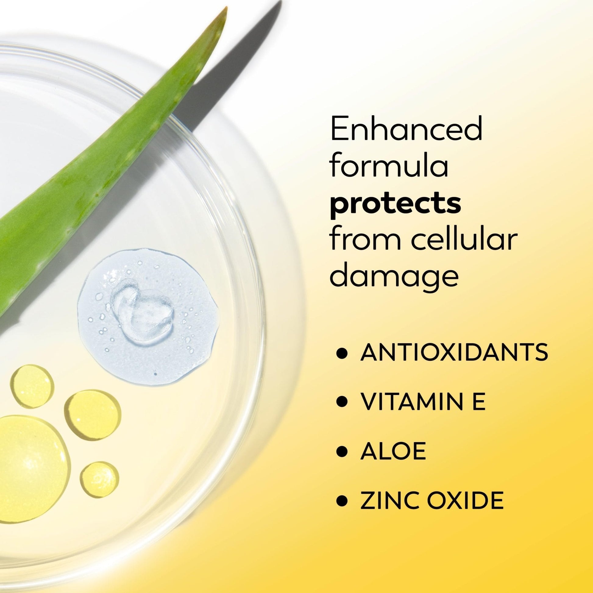 Olay Face Moisturizer, Complete with Sunscreen SPF 15, Daily Facial Lotion for Normal Skin, Lightweight Hydrating Broad Spectrum Sun Protection - Maple Wellness Supplements