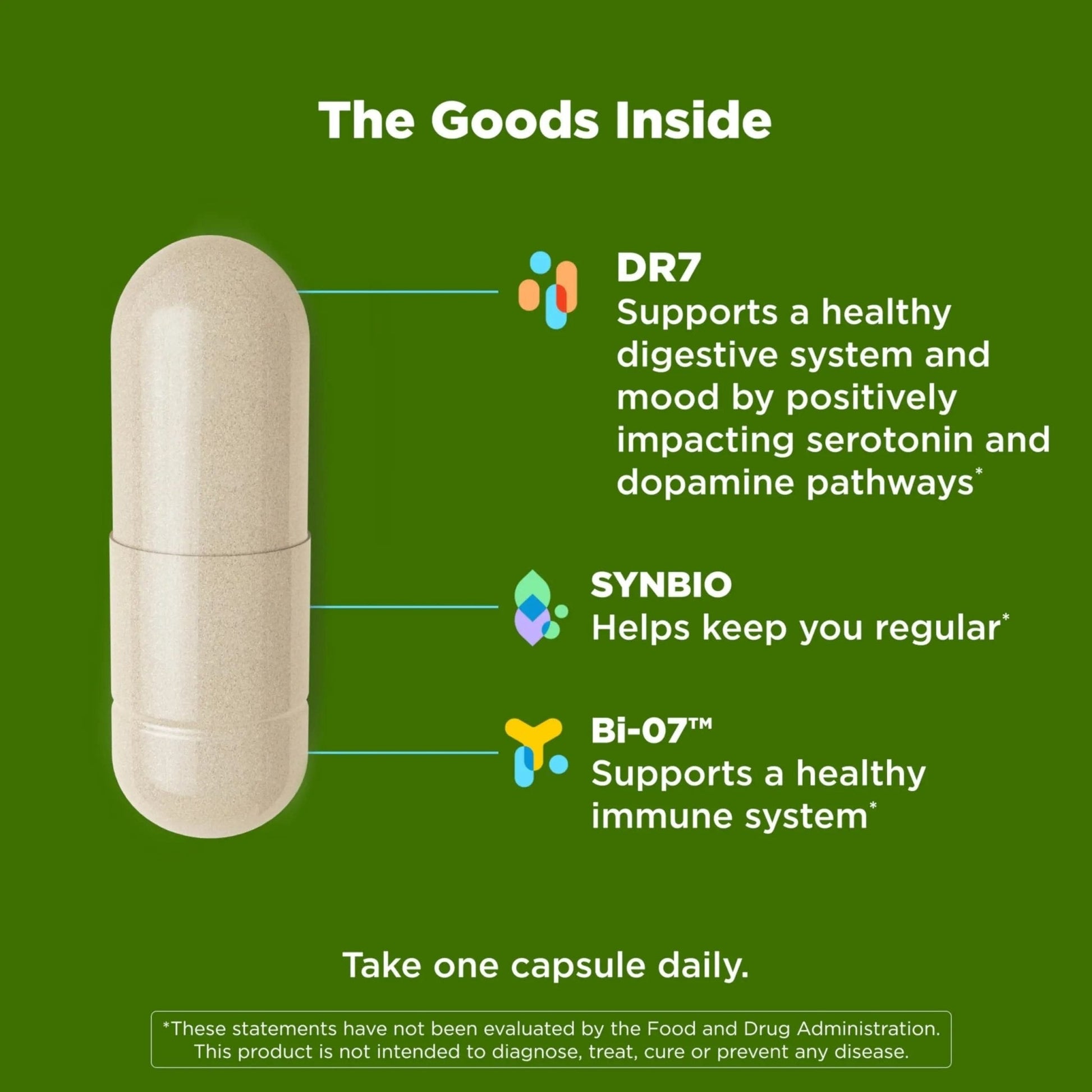 OLLY Big 10 Probiotic, Supports a Healthy Gut Microbiome,* 10 Billion CFUs, 30 Day Supply - 30 Count - Maple Wellness Supplements