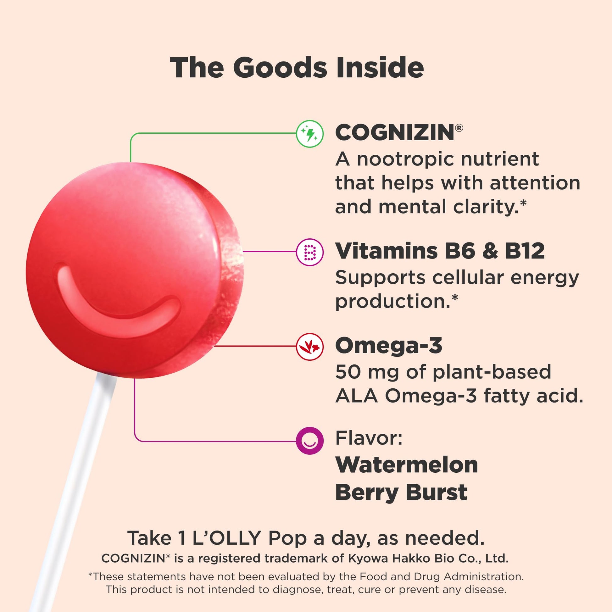 OLLY Focus Buddies L’OLLY Pops, Cognizin, Vitamins B6 and B12, Omega-3 ALA, Supports Focused Attention and Healthy Brain Function,* Kids 4+ Dietary Supplement, Watermelon Strawberry Flavored, 25 Count - Maple Wellness Supplements