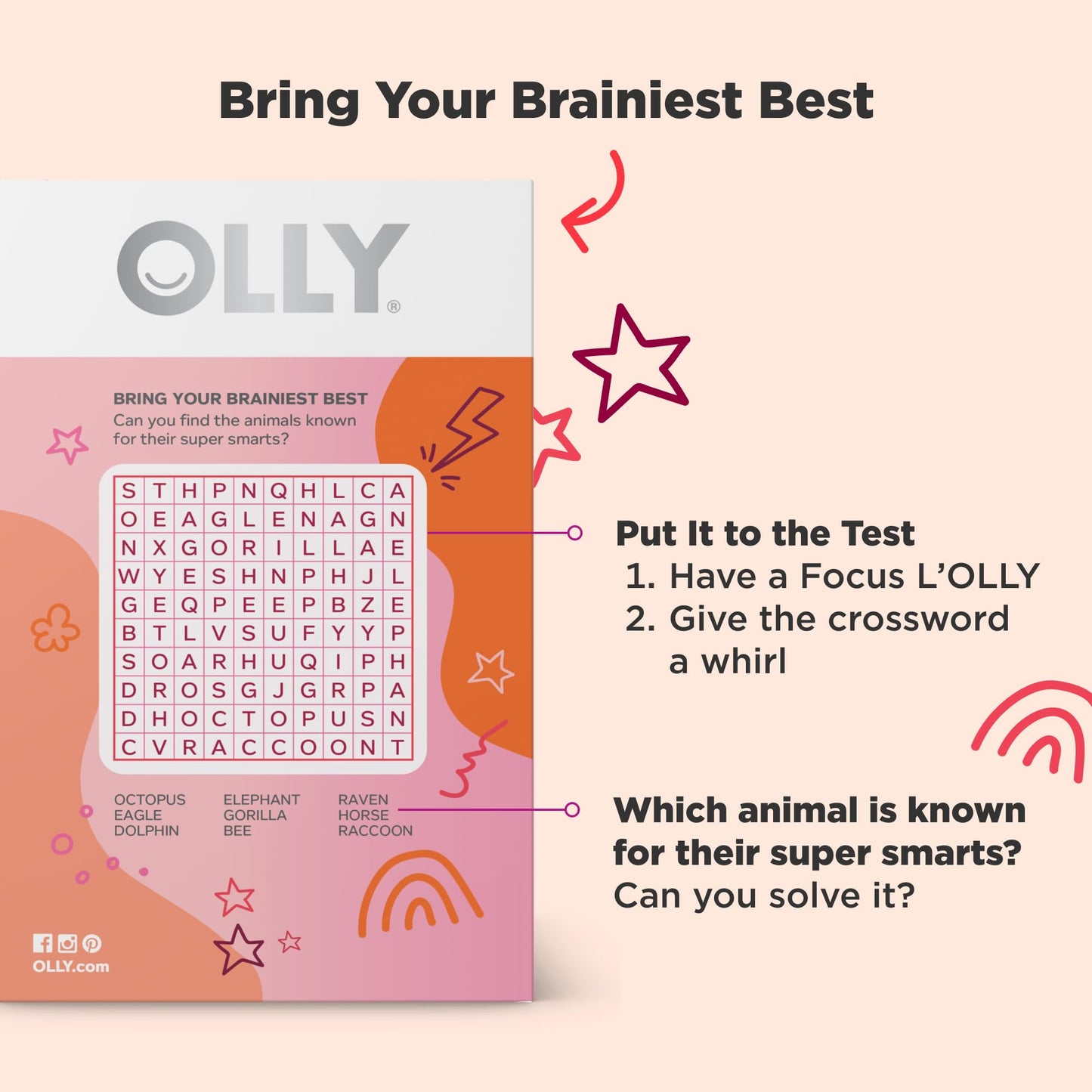 OLLY Focus Buddies L’OLLY Pops, Cognizin, Vitamins B6 and B12, Omega-3 ALA, Supports Focused Attention and Healthy Brain Function,* Kids 4+ Dietary Supplement, Watermelon Strawberry Flavored, 25 Count - Maple Wellness Supplements