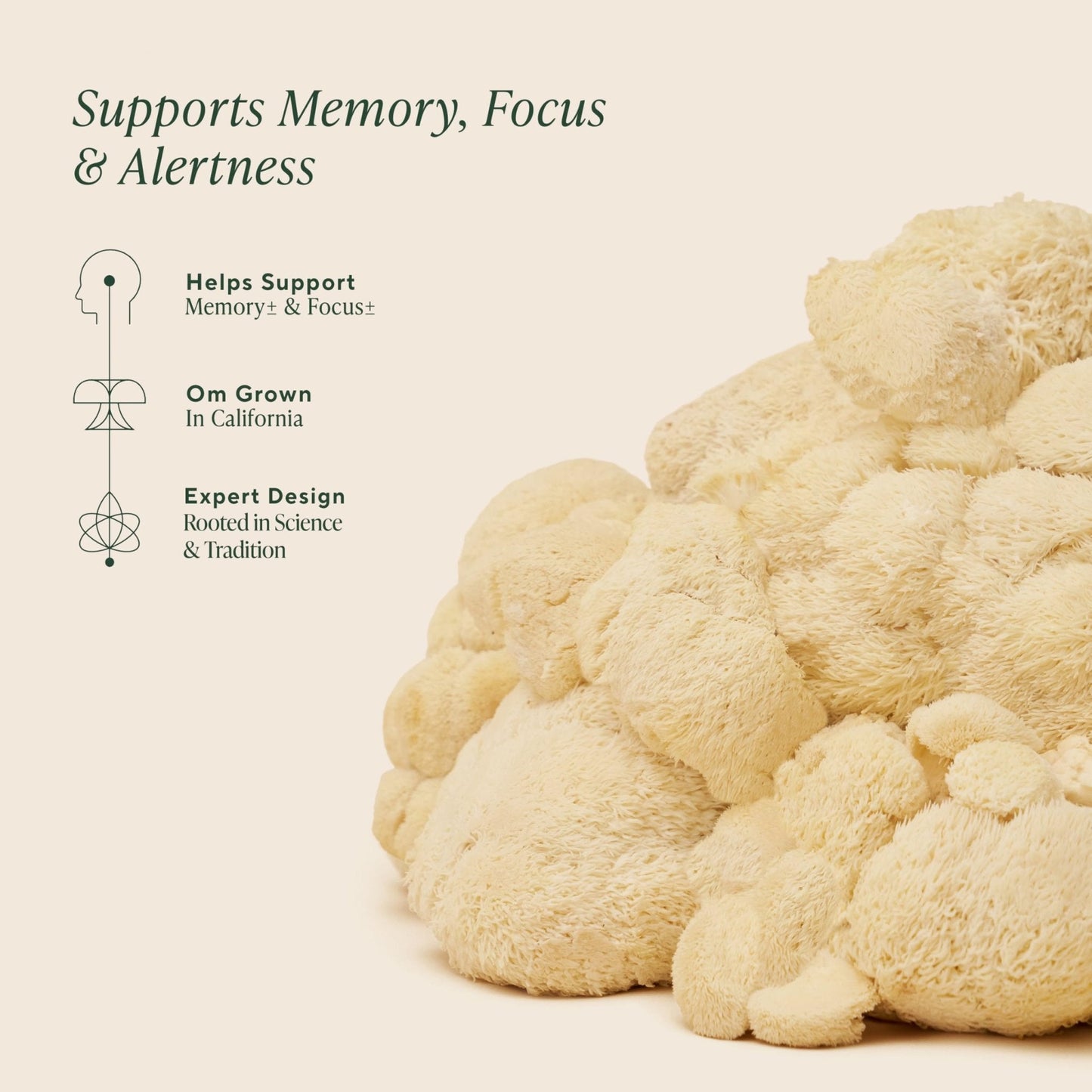 Om Lion’s Mane Mushroom Capsules - Organic Mushroom Supplement and Nootropic - Brain Supplements for Memory and Focus, 180 Count (60 Servings) - Maple Wellness Supplements