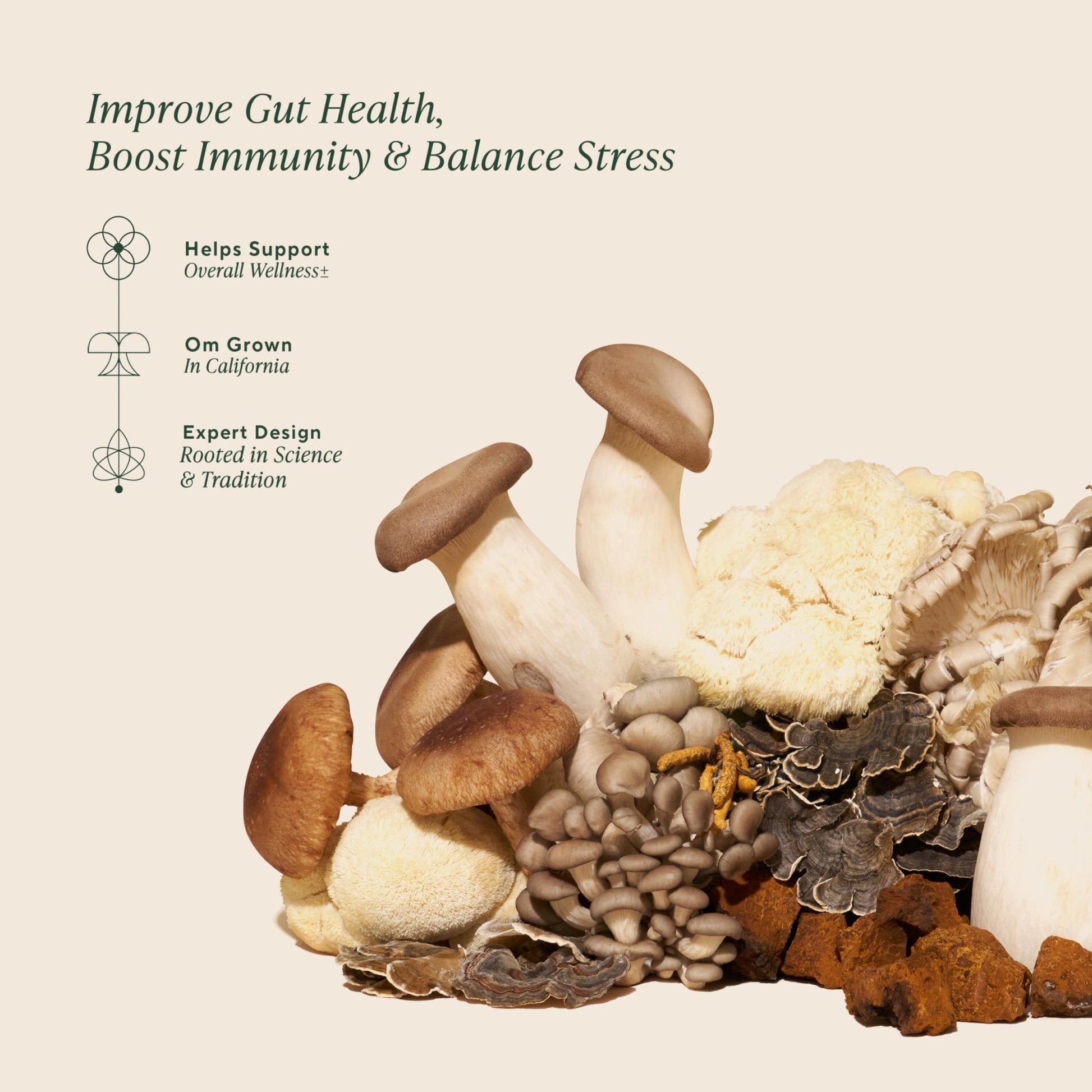 Om Master Blend Mushroom Powder – Organic Mushroom Supplement with 10 Mushrooms and Ashwagandha - Support Immunity, Gut Health & Stress Relief, - Maple Wellness Supplements