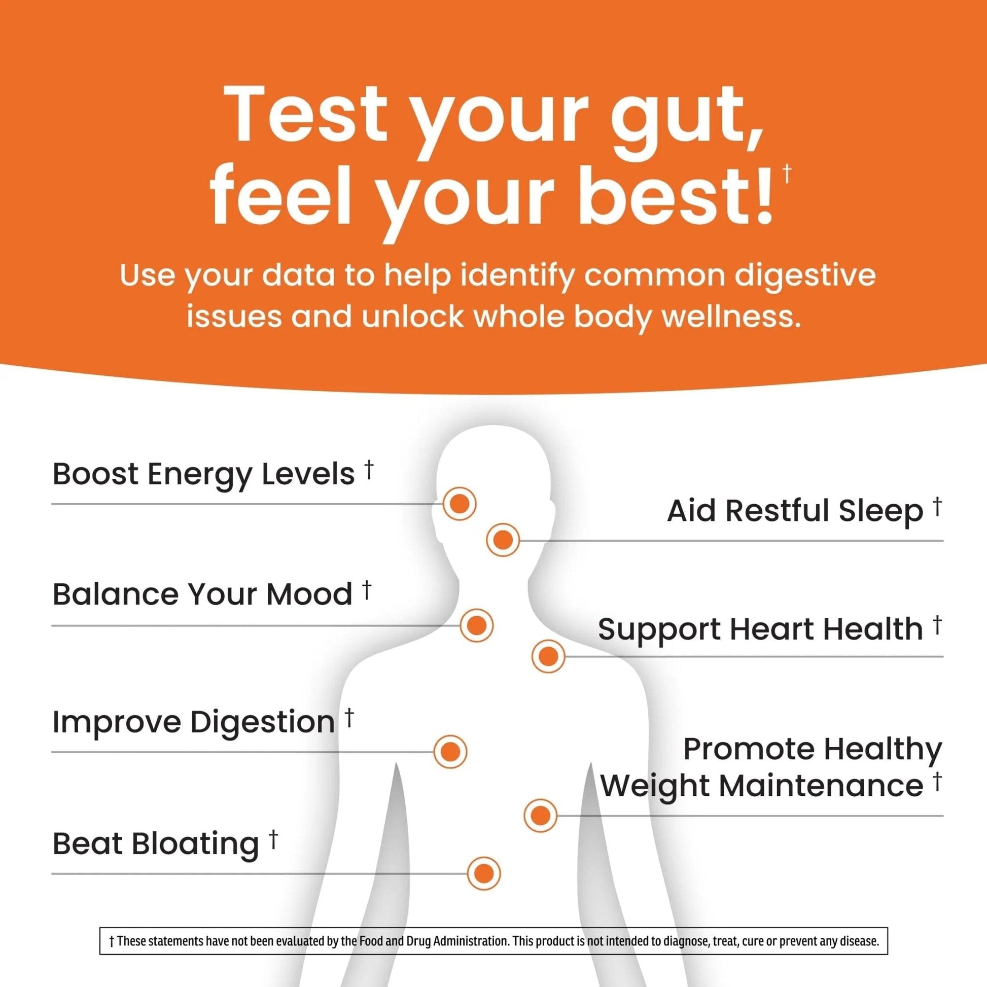 Ombre Gut Health Test Kit - Probiotic Recommender at Home Test for Women & Men - Detailed Custom Gut Microbiome Analysis for Digestive, Immune and Mental Health with Food Suggestions - Maple Wellness Supplements
