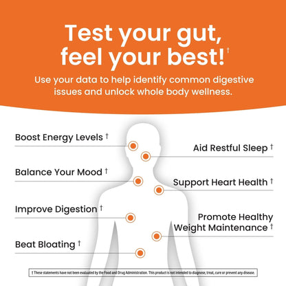 Ombre Gut Health Test Kit - Probiotic Recommender at Home Test for Women & Men - Detailed Custom Gut Microbiome Analysis for Digestive, Immune and Mental Health with Food Suggestions - Maple Wellness Supplements