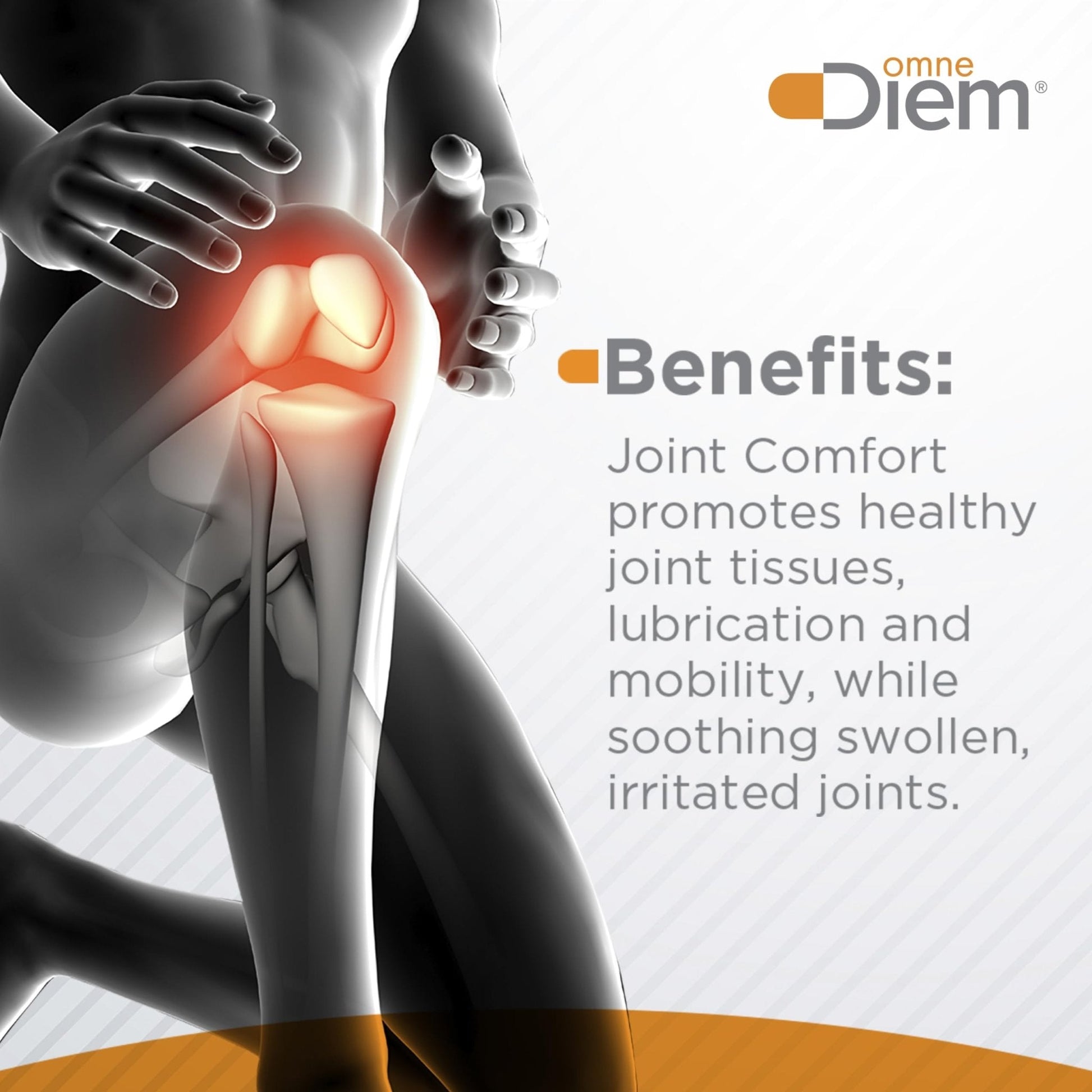 OmneDiem Joint Comfort with ZOARA, 60 Capsules – Dietary Supplement for Comprehensive Joint Care & Comfort - Maple Wellness Supplements