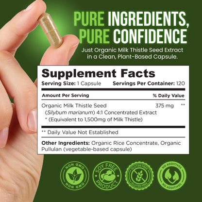 OmniBiotics Organic Milk Thistle Supplement 1500mg – 4X Concentrated Extract with Silymarin – High Potency Liver Detox & Support - Maple Wellness Supplements