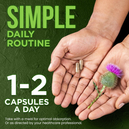 OmniBiotics Organic Milk Thistle Supplement 1500mg – 4X Concentrated Extract with Silymarin – High Potency Liver Detox & Support - Maple Wellness Supplements