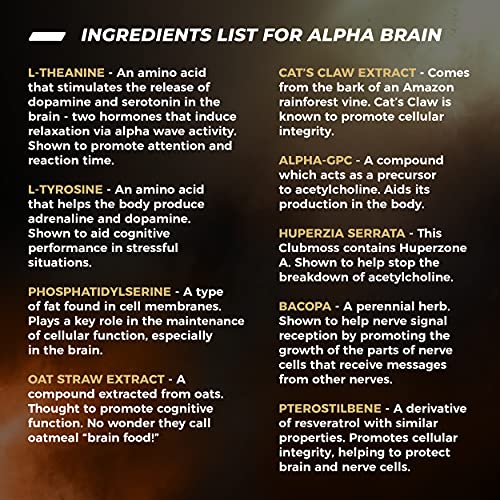 ONNIT Alpha Brain (120ct) - Over 1 Million Bottles Sold - Premium Nootropic Brain Sup - Maple Wellness Supplements