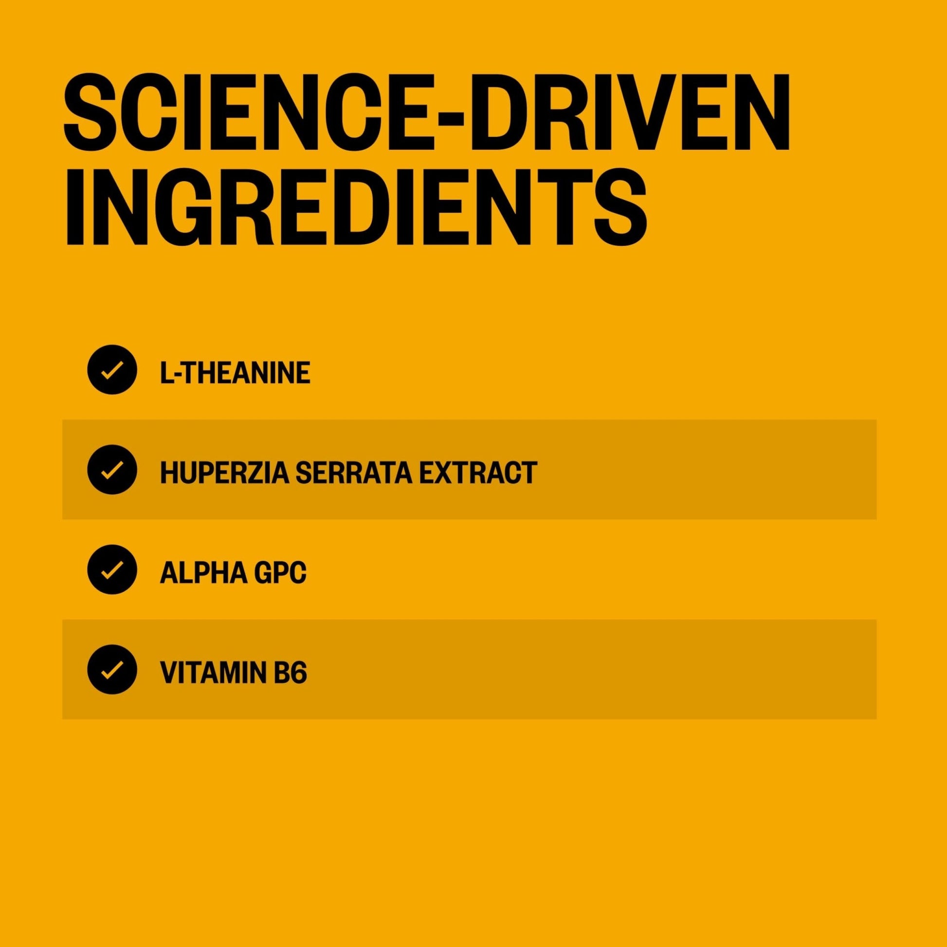 ONNIT Alpha Brain Instant Cognitive Support Drink Mix, Nootropic Supplement for Focus, Memory and Clarity, Peach Flavor, 0.13 oz Packets, 30 Count - Maple Wellness Supplements