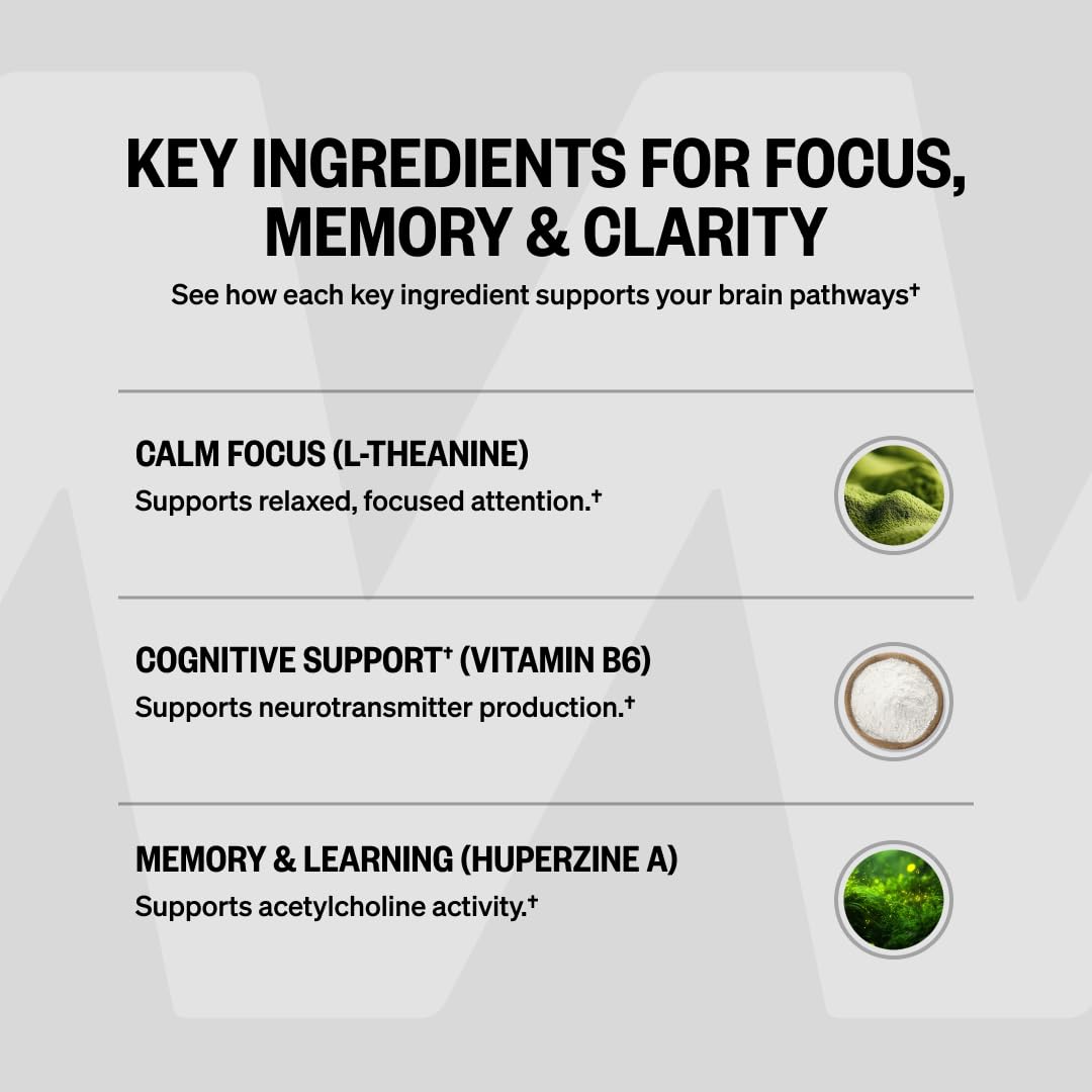 ONNIT Alpha Brain Nootropic Brain Supplement for Focus, Memory, Mental Clarity, Cognitive Support with L-Theanine and Vitamin B6, 90 Count - Maple Wellness Supplements