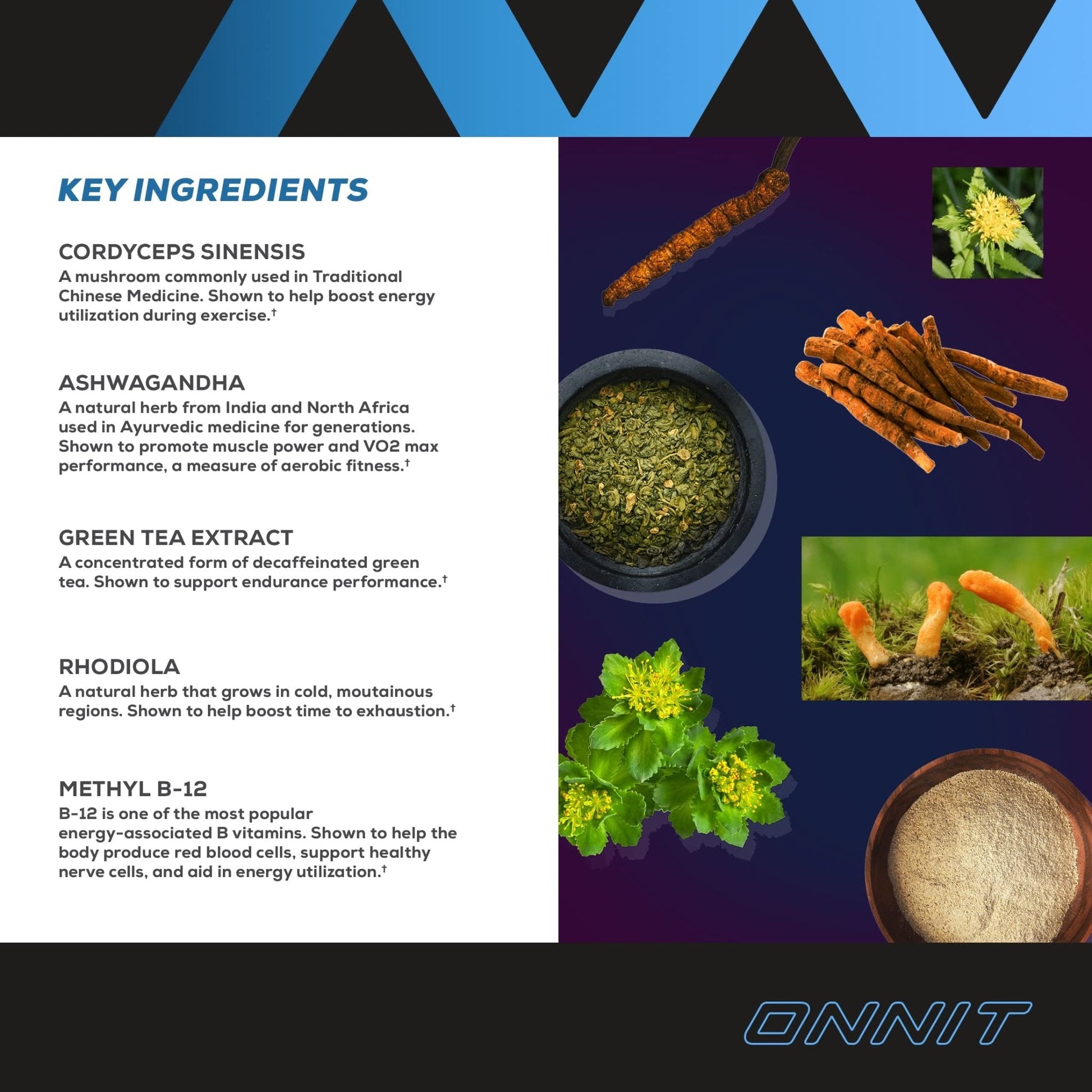 Onnit Shroom TECH Sport (84ct) | All Natural Pre-Workout Supplement with Ashwagandha - Maple Wellness Supplements