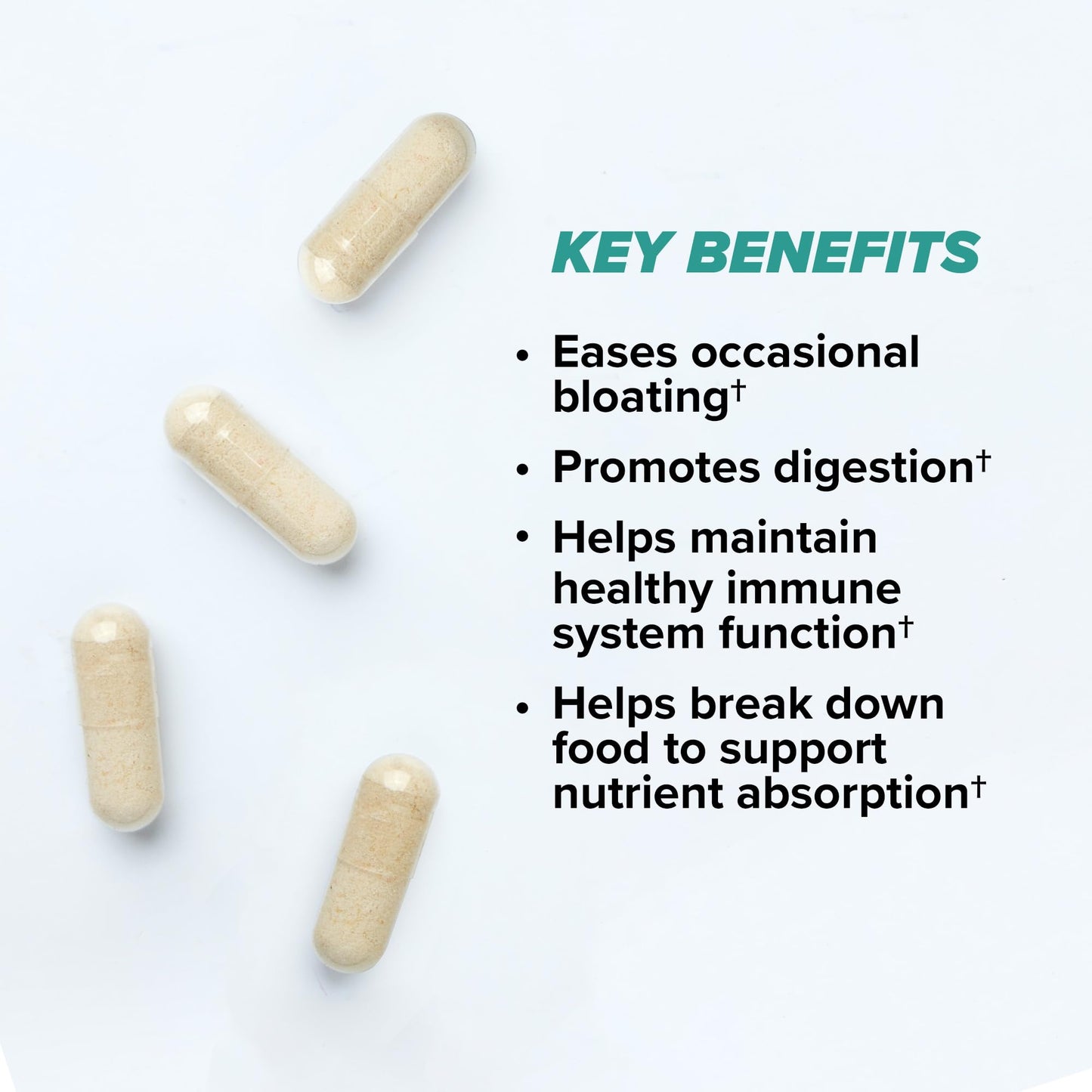ONNIT Total Gut Health Daily Digestive Support, IGEN™ Non-GMO Tested Digestion Supplement for Women and Men with 7 Strains of Probiotics, - Maple Wellness Supplements