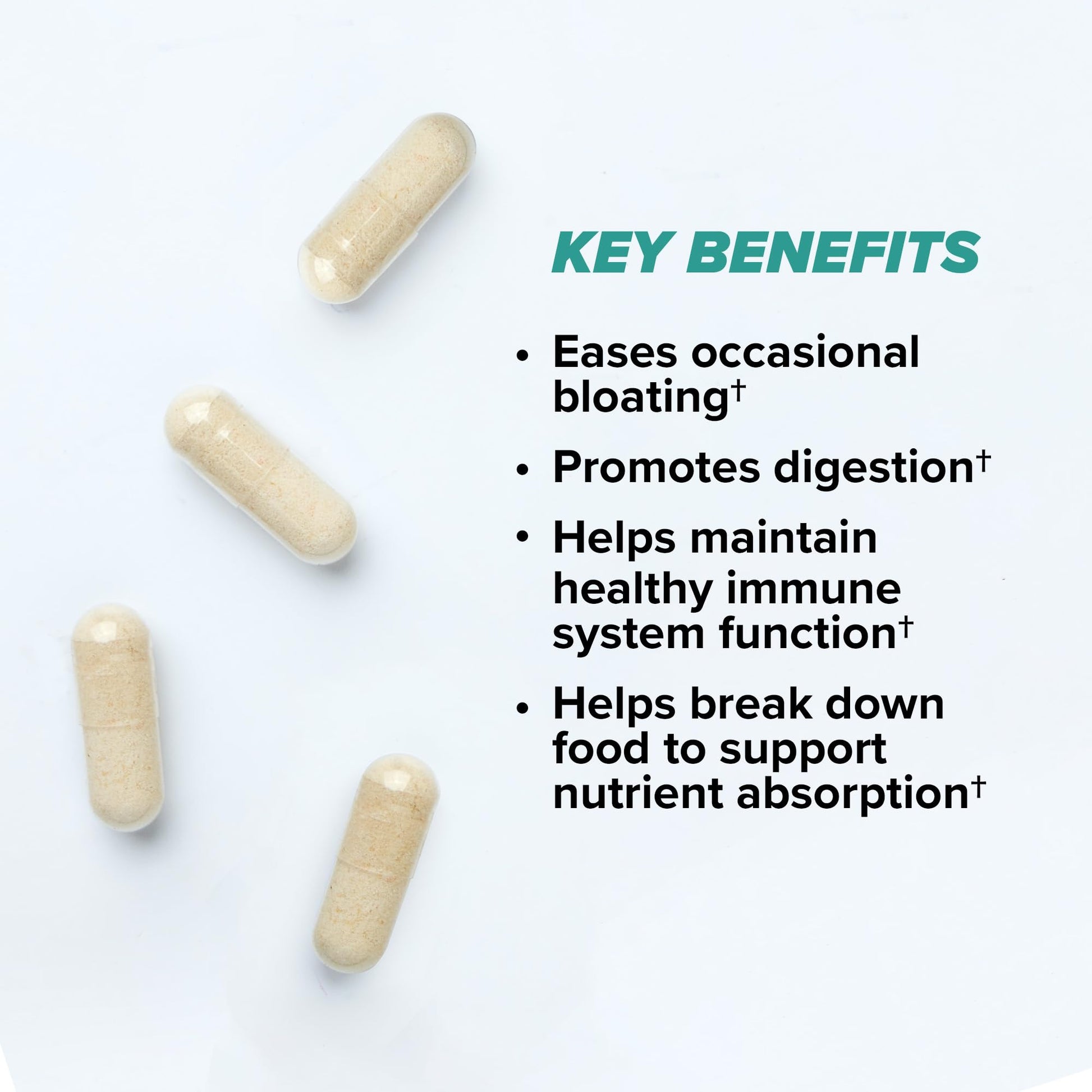ONNIT Total Gut Health Daily Digestive Support, IGEN™ Non-GMO Tested Digestion Supplement for Women and Men with 7 Strains of Probiotics, - Maple Wellness Supplements