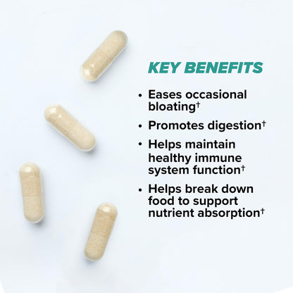 ONNIT Total Gut Health Daily Digestive Support, IGEN™ Non-GMO Tested Digestion Supplement for Women and Men with 7 Strains of Probiotics, - Maple Wellness Supplements