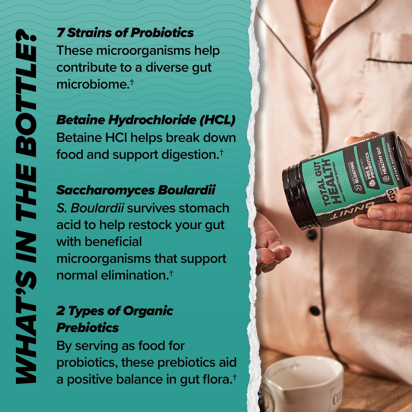 ONNIT Total Gut Health Daily Digestive Support, IGEN Non-GMO Tested Digestion Supplement for Women and Men with 7 Strains of Probiotics, Prebiotics, - Maple Wellness Supplements