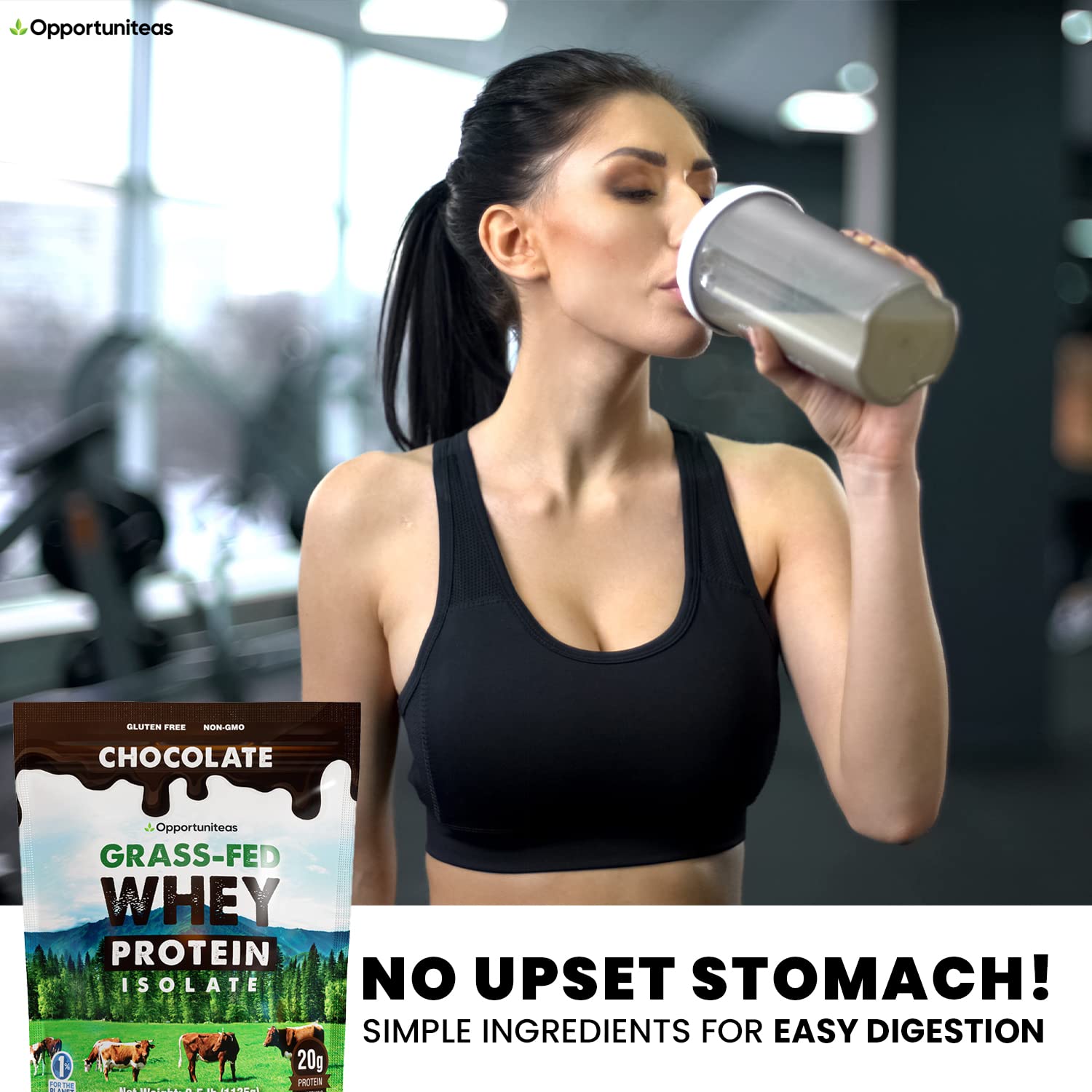 Opportuniteas Chocolate Whey Protein Powder - Grass Fed Whey Isolate + Organic Cacao - Maple Wellness Supplements